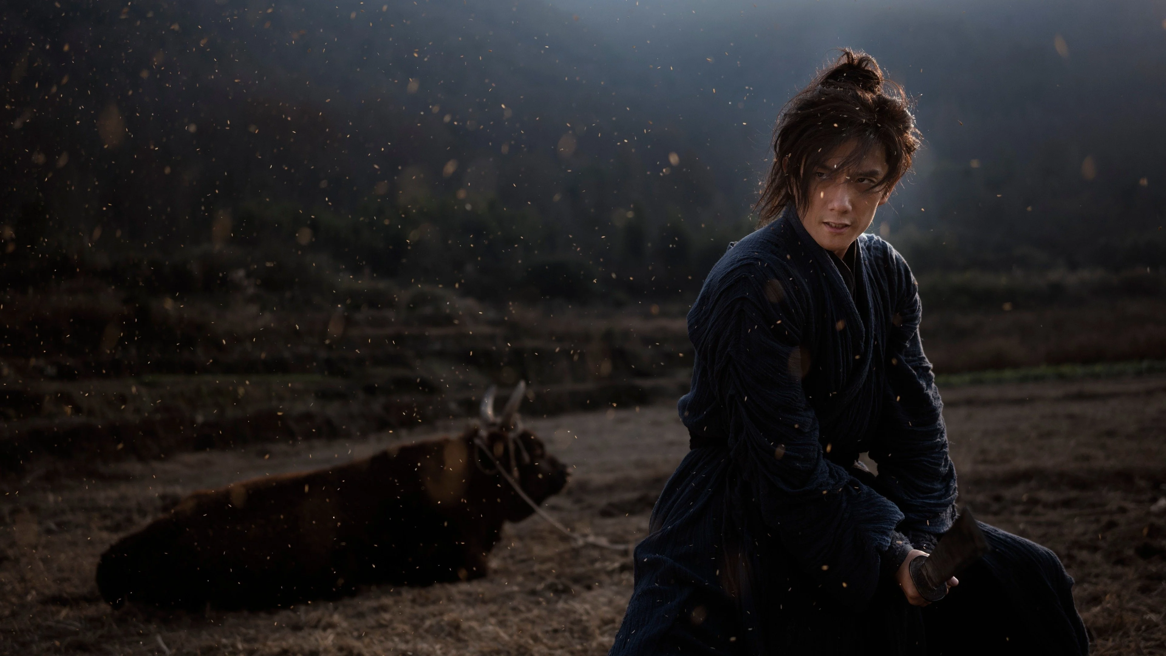 Lệnh Truy Nã Giang Hồ Full